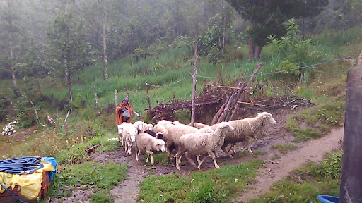 Sitabamba