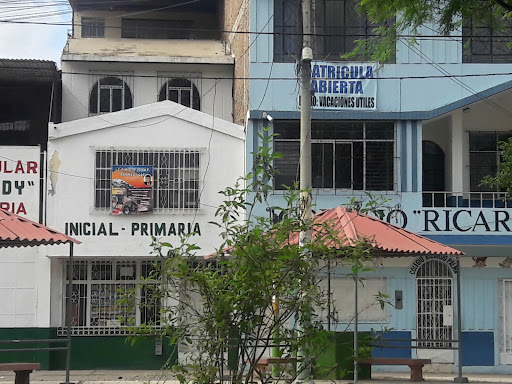 Colegio Ricardo Palma - Castilla - Piura