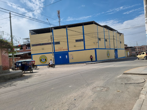 PROYECTO TRIUNFO IGNACIO MERINO