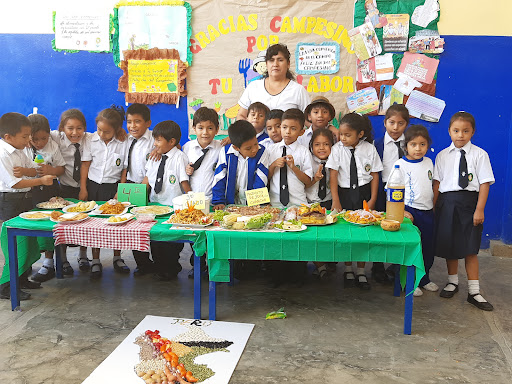 Colegio Federico Villarreal