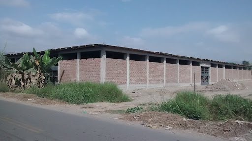 Nuevo Colegio