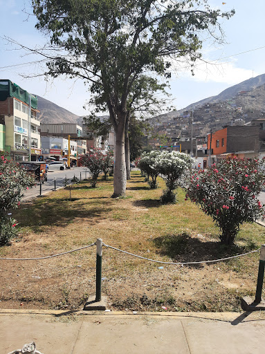 Colegio El Nazareno