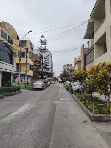 Colegio en Los Olivos El Paraíso de los Niños - Los Olivos | Lima
