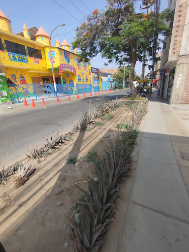 I.E.P. “SAN PÍO X – LOS OLIVOS”